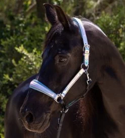 Halter Ego Elsa Halter