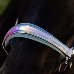 Halter Ego Elsa Halter -Horse Gear Shop elsa halter neon.blue noseband ELSA halter ego 06435.1682705313