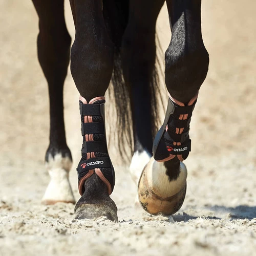 Horse Gear Shop -Horse Gear Shop fir tech elegant drs boot horse catago 80570.1658505197