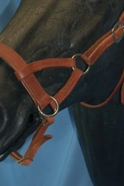 Buckaroo Leather Flat Nose Sidepull 17 Buckaroo Leather Flat Nose Sidepull -Horse Gear Shop flat nose sidepull buckaroo leather 47 39765 58268.1527296611