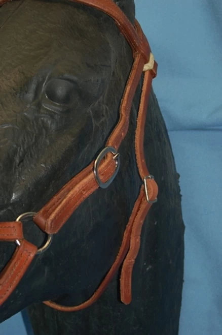 Buckaroo Leather Flat Nose Sidepull 11 Buckaroo Leather Flat Nose Sidepull - Image 9