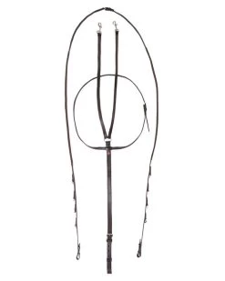 Walsh German Olympic Martingale