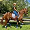 DSB Glossy Patent Dressage Sport Boot -Horse Gear Shop glossy navy boots lifestyle dsb 56448.1592335795