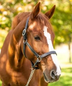 Red Barn Grace Lined Halter