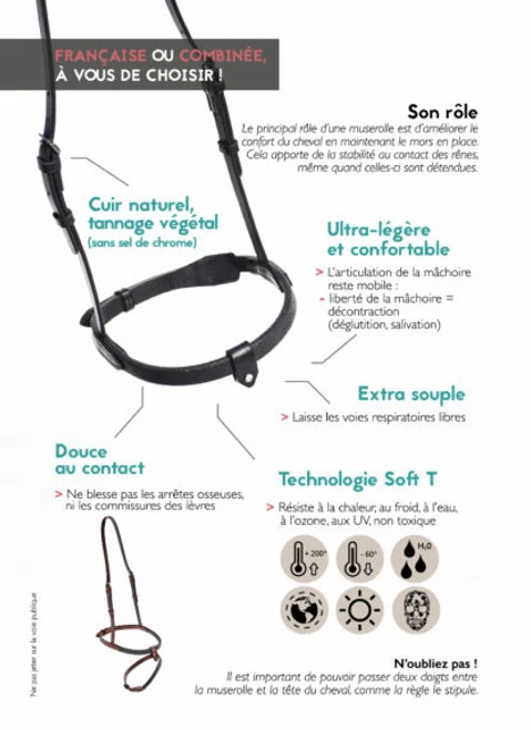 In Horse We Trust Flash Noseband With Crown 6 In Horse We Trust Flash Noseband With Crown - Image 4