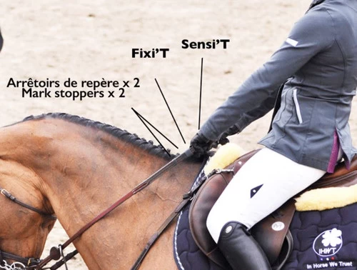 In Horse We Trust Reins Adjust 4 In Horse We Trust Reins Adjust - Image 2