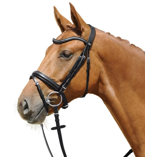Passier Juno Snaffle Bridle 3 Passier Juno Snaffle Bridle
