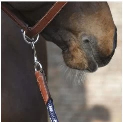 Antarès Lead Rope -Horse Gear Shop lead rope navy brown clip LIC2 antares 27398.1643754806