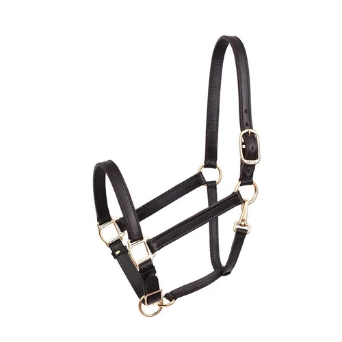 Perri's 1-Inch Leather Turnout Halter 3 Perri's 1-Inch Leather Turnout Halter