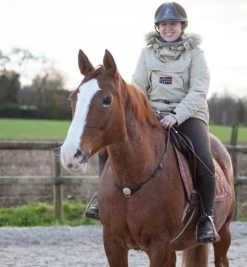 In Horse We Trust Liberty Neck Strap -Horse Gear Shop liberty neck strap havana on horse NECK STRAP in horse we trust 83032.1658788014