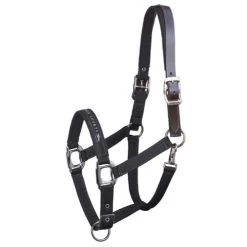 Schockemohle Memphis Fleece Lined Halter 9 Schockemohle Memphis Fleece Lined Halter -Horse Gear Shop memphis breakaway black 1311 00020 schockemoehle 55437.1650664913