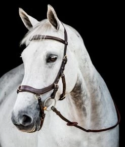 Horseware Ireland Horseware Micklem 2 Multi Bridle 15 Horseware Ireland Horseware Micklem 2 Multi Bridle -Horse Gear Shop micklem 2 multi bridle havana sbmxm0 nab0 HW 37747.1689872130