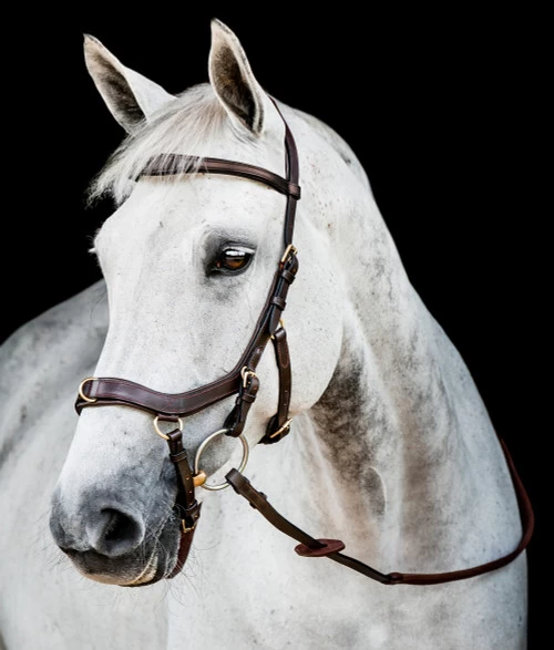 Horseware Ireland Horseware Micklem 2 Multi Bridle 7 Horseware Ireland Horseware Micklem 2 Multi Bridle - Image 5