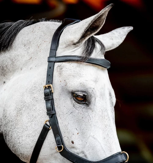 Horseware Ireland Horseware Micklem 2 Multi Bridle 10 Horseware Ireland Horseware Micklem 2 Multi Bridle - Image 8