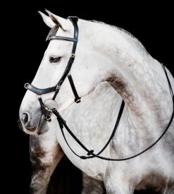 Horseware Ireland Horseware Micklem 2 Multi Bridle