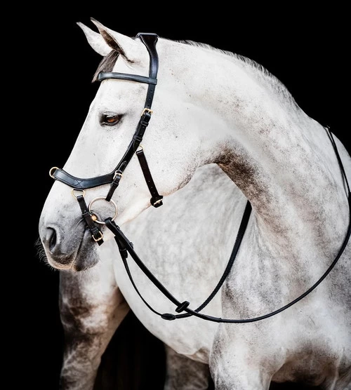 Horseware Ireland Horseware Micklem 2 Multi Bridle 3 Horseware Ireland Horseware Micklem 2 Multi Bridle