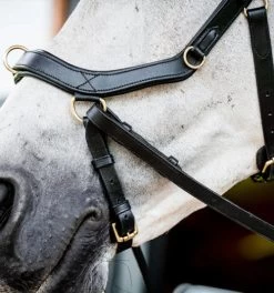 Horseware Ireland Horseware Micklem 2 Multi Bridle 17 Horseware Ireland Horseware Micklem 2 Multi Bridle -Horse Gear Shop micklem2 multibridle black noseband SBMXM1 K000 LC HW 99249.1689871620