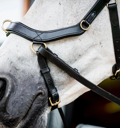 Horseware Ireland Horseware Micklem 2 Multi Bridle 9 Horseware Ireland Horseware Micklem 2 Multi Bridle - Image 7