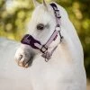 Mini LeMieux Vogue Halter & Lead Rope -Horse Gear Shop mini vogue headcollar fig pony lemieux 06965.1689972067