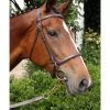 Nunn Finer Newmarket Shank Lead -Horse Gear Shop newmarket shank havana bay horse nunn finer 70404.1587245498