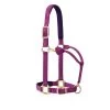 Weaver Leather Weaver Padded Adjustable Halter 1 Weaver Leather Weaver Padded Adjustable Halter -Horse Gear Shop padded adjustable halter dahlia purple 35 778 weaver 46897.1606080010
