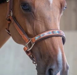 PÉNÉLOPE Pénélope Pearl Leather Halter -Horse Gear Shop pearl halter cognac noseband1 510 311 302 penelope 65794.1688687941