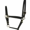 Perri's 3/4-Inch Leather Turnout Halter -Horse Gear Shop perri s 3 4 inch leather turnout halter 1 92560 01541.1527297524