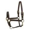 Perri's Premium Nylon Safety Halter -Horse Gear Shop premium nylon safety halter black 150HBL perris 43207.1684804357