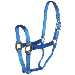 Hamilton Quality 1" Nylon Halter -Horse Gear Shop quality 1in nylon halter berry blue 1Q BY hamilton 67147.1685665703