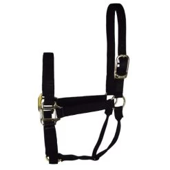 Hamilton Quality 1" Nylon Halter -Horse Gear Shop quality 1in nylon halter black 1Q hamilton 13858.1685665721