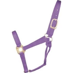 Hamilton Quality 1" Nylon Halter -Horse Gear Shop quality 1in nylon halter lavender 1Q AVLV hamilton 15621.1685665710