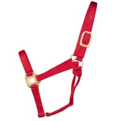 Hamilton Quality 1" Nylon Halter -Horse Gear Shop quality 1in nylon halter red 1Q hamilton 12014.1685665705