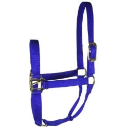 Hamilton Quality 1" Nylon Halter -Horse Gear Shop quality 1in nylon halter royal 1Q hamilton 95898.1685665741