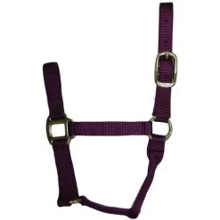 Hamilton Quality 1" Nylon Halter -Horse Gear Shop quality 1in nylon halter wine 1QWN hamilton 54194.1685665738