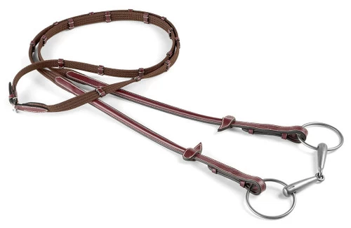 Equipe Web Reins 3 Equipe Web Reins