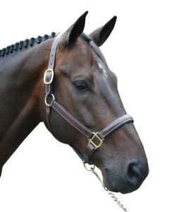 Red Barn Kate Fancy Stitch Halter -Horse Gear Shop red barn kate halter brown brass W kl select 63727.1682796912