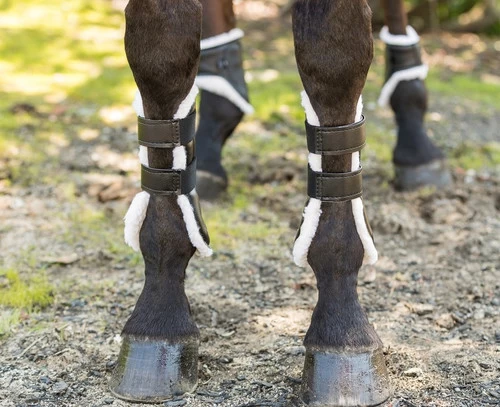 Euro Pro Rex Open Front Boot 4 Euro Pro Rex Open Front Boot - Image 2