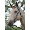 Circle Y Rising Sunflower Brow Headstall