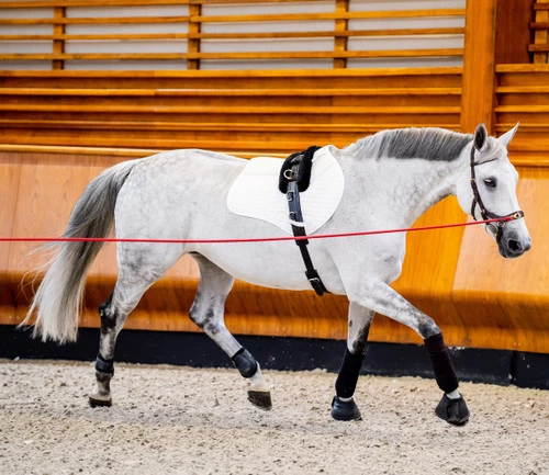 Horseware Ireland Horseware Micklem 2 Multi Bridle 5 Horseware Ireland Horseware Micklem 2 Multi Bridle - Image 3