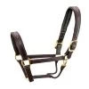 Walsh Signature Pony Halter -Horse Gear Shop signature halter havana brown brass walsh 17538.1557953983