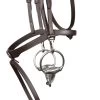 Signature By Antarès Training Bridle -Horse Gear Shop signature training bridle brown cheek with bit SIGOB BRD2 antares 84353.1674091349