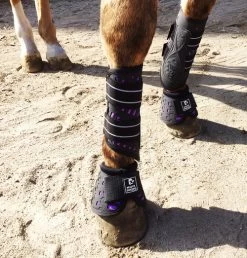 Majyk Equipe Sport/Dressage Boots -Horse Gear Shop sportdressagepurple 83089 87931.1527295834