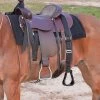 Cashel Step Up Stirrup 1 Cashel Step Up Stirrup -Horse Gear Shop step up stirrup black saddle SOS chasel 67097.1674772523