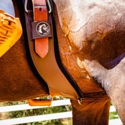 StretchTec Shoulder Relief Cinch 13 StretchTec Shoulder Relief Cinch -Horse Gear Shop stretchtec shoulder relief cinch brown side on horse ST SRC 28 BRN BLN total saddle fit 35099.1634504243