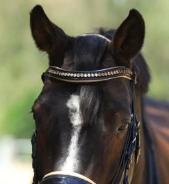 Halter Ego Thea Rolled Double Bridle -Horse Gear Shop thea rolled double bk.pt crm browband THEA halter ego 33933.1682644361