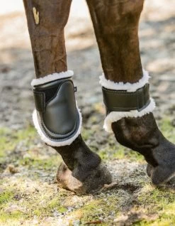 Euro Pro Thor Ankle Boots -Horse Gear Shop thor ankle boots black euro pro 11905.1601671096