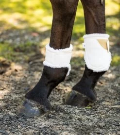 Euro Pro Thor Ankle Boots -Horse Gear Shop thor ankle boots white euro pro 44795.1601671103