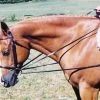 Tory Leather Draw Reins With Loop End 1 Tory Leather Draw Reins With Loop End -Horse Gear Shop tory leather draw reins with loop end 12 25543 83058.1527303838