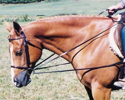 Tory Leather Draw Reins With Loop End 3 Tory Leather Draw Reins With Loop End