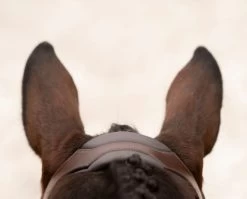 KL Select Tucson Bridle 10 KL Select Tucson Bridle -Horse Gear Shop tucson bridle crown top kl select 98410.1671503449